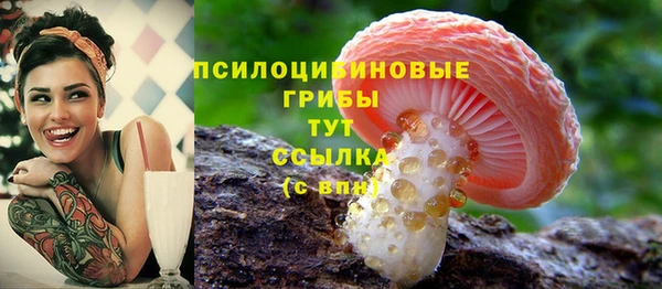 героин Алексин