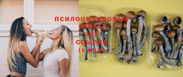 героин Алексин