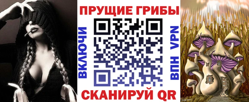купить закладку  Гуково  Галлюциногенные грибы ЛСД 